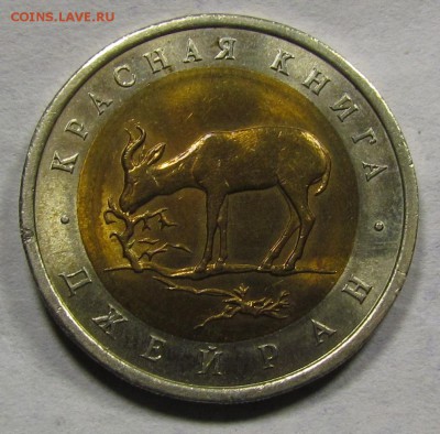 КК 50р. 1994г. Джейран до 6.09.2015 в 22:30мск. - IMG_6785.JPG