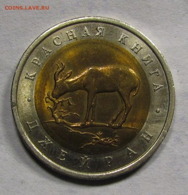 КК 50р. 1994г. Джейран до 6.09.2015 в 22:30мск. - IMG_6784.JPG