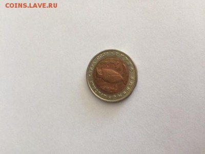 3 монеты красной книги - IMG_4623.JPG