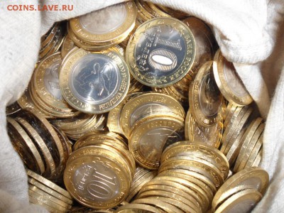 БИМ РСО-Алания мешковая фикс. - SAM_1240.JPG