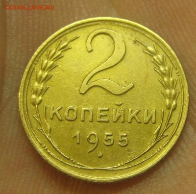 2 копейки 1955 г. (AZ-2196) --------- 09.09.15, в 22.10 - IMG_2036.JPG
