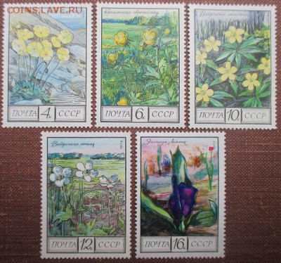 СССР 1975. Флора СССР**** - 1975-415.JPG