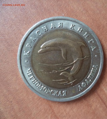 Красная Книга (Афалина) до 5.09.15 в 22.00 по МСК - DSC01256.JPG