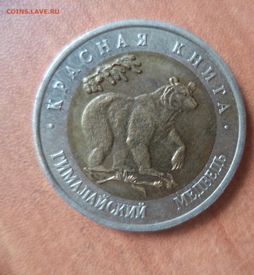 Красная Книга (Медведь) до 5.09.15 в 22.00 по МСК - DSC01264.JPG