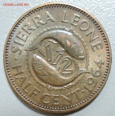 2 цента РЫБЫ 1964 г.  до  10.09 - DSCN0554.JPG