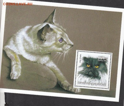 Гвинея 2002 кошки блок - 29