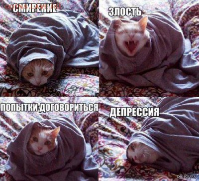 юмор - erltuIUYYjY