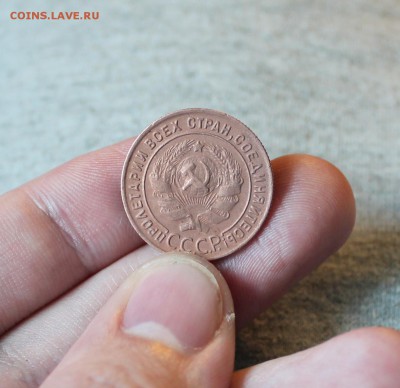 1к. 1924 до 09.09.15 в 22:00 мск - IMG_8598