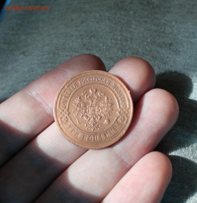 3к. 1916 до 09.09.15 в 22:00 мск - IMG_8637