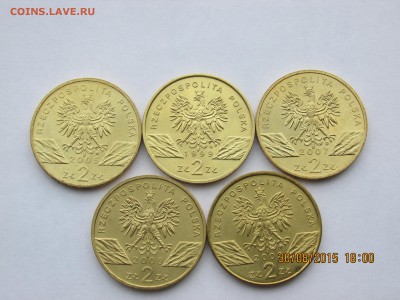 Польша 2zl, серия Животные - до 3.09.15г - IMG_5172