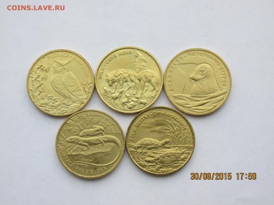 Польша 2zl, серия Животные - до 3.09.15г - IMG_5171