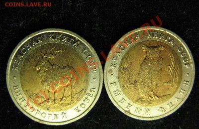 КРАСНАЯ КНИГА 91г.  до 14.08.2010г. 22-00мск - 623.JPG