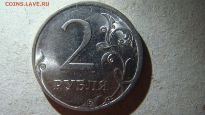 Вопросы по разновиднстям от сахарок - DSC04126.JPG