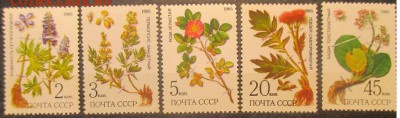 СССР 1985. Лекарственные растения - 1985-523.JPG
