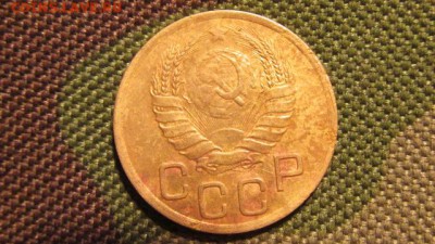 ? - IMG_2411.JPG