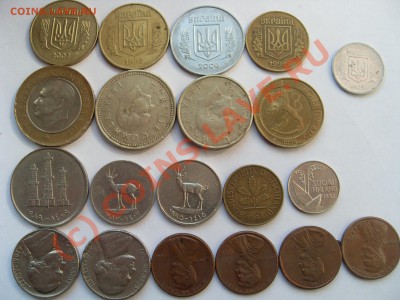 Иностранщина - SDC12992.JPG