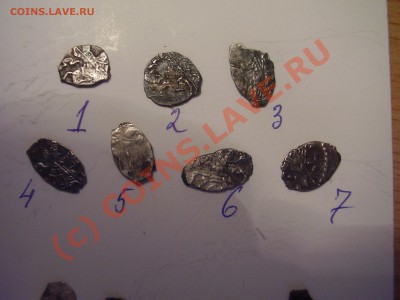 Чешуйки Петра, 7 шт., до 17.08 до  20:00 Москвы - P3171007.JPG