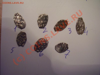 Чешуйки Петра, 7 шт., до 17.08 до  20:00 Москвы - P3171004.JPG