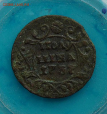 полушка 1737 до 8.09 - P1110453.JPG