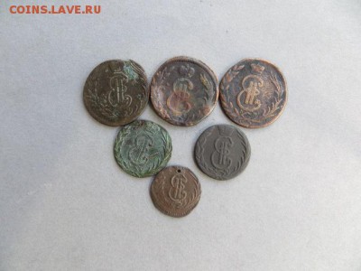 Сибирь 6 шт. До 23.00.мск. 08.09.15. - IMG_2472.JPG