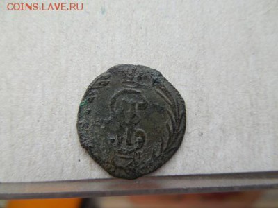 Полушка 1794 км (Биткин R1) до 9.09.15 в 22 мск. - DSCN6321.JPG