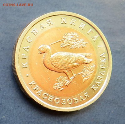 10р.Казарка 1992г. до 10.09 15г. - IMG_2479 (2).JPG