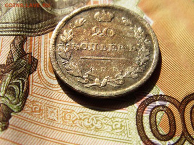 20 копеек 1813 пс оцените - IMG_0580.JPG