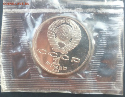 Ломоносов новоделы в запайке до 14. 09. 2015г - DSC_0427~2