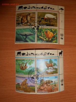 ФАУНА, 12 квартблоков, фикс - DSCN5014.JPG