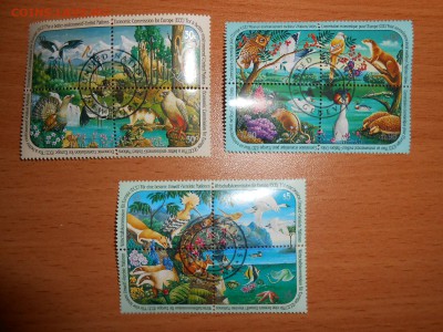 ФАУНА, 12 квартблоков, фикс - DSCN5011.JPG