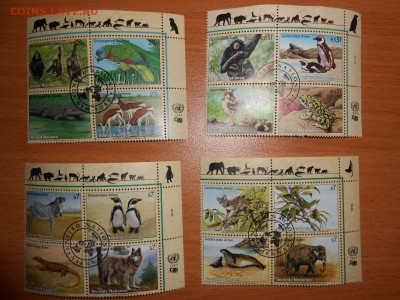 ФАУНА, 12 квартблоков, фикс - DSCN5012.JPG