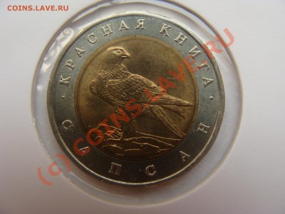 Красная Книга, 1994г, Сапсан, 50р до 18.08.2010 22-00 - DSC04263.JPG