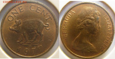 Багамы и Бермуды 7 монет 1966 - 2000 гг. до 11.09 22-00 - IMG_9900.JPG