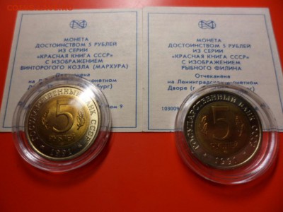 ФИКС. КК 1991 Филин и Козёл UNC 16.09.15 22.00 - SAM_3795.JPG