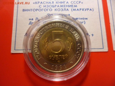 ФИКС. КК 1991 Филин и Козёл UNC 16.09.15 22.00 - SAM_3794.JPG