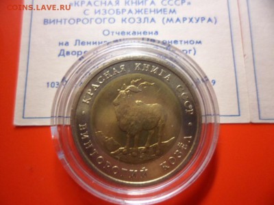 ФИКС. КК 1991 Филин и Козёл UNC 16.09.15 22.00 - SAM_3793.JPG
