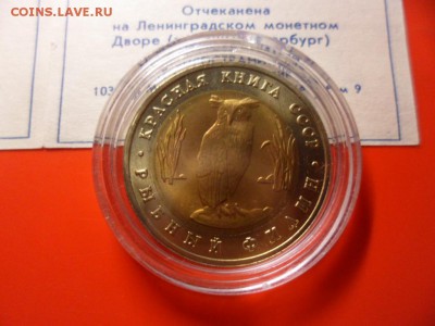 ФИКС. КК 1991 Филин и Козёл UNC 16.09.15 22.00 - SAM_3792.JPG
