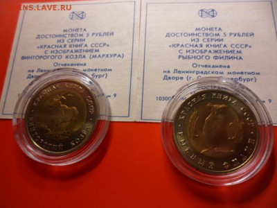 ФИКС. КК 1991 Филин и Козёл UNC 16.09.15 22.00 - SAM_3791.JPG