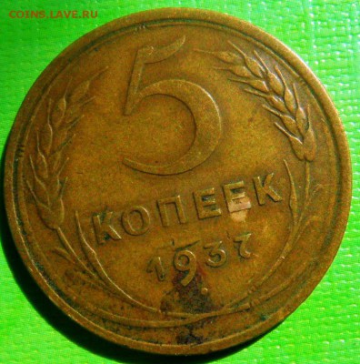 5 копеек 1937 до 22.00 16.09.2015 - SAM_3974.JPG