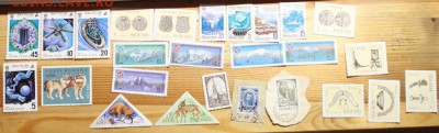 Марки на оценку - IMG_0150.JPG