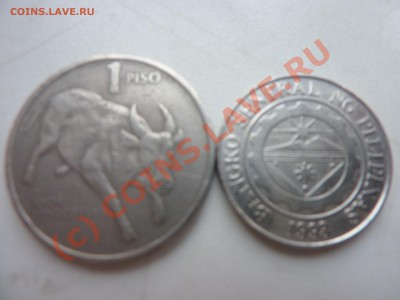 Филиппины 1песо две монеты 1990г,1995г. до 17.08. в 22-00 - P1020909.JPG