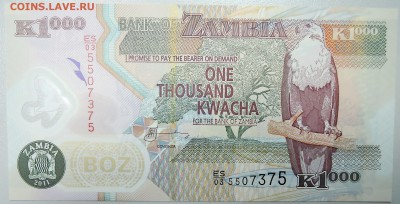 ЗАМБИЯ - 1000 квач 2011 г. UNC  до  19.09 - DSCN0645.JPG