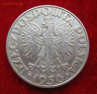 ПОЛЬША 5 злотых 1936 ПАРУСНИК. 18.09.2015 - 082.JPG