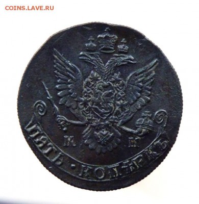 Пятак 1784 км без хождения! до 15.09  С 200 - P1110478.JPG