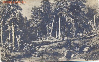Открытка Шишкин Сосны до 1917г. - шишкин сосны