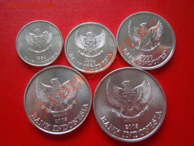 Индонезия набор Птицы и С* 5 монет 1994-03 до 18.08 в 21.00М - P8153568.JPG