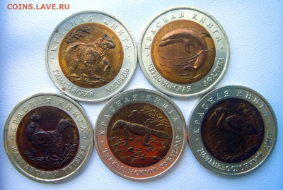 Комплект КРАСНАЯ КНИГА 1993г. до 22.00ч. 18.09.2015г. - S8000312.JPG
