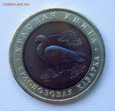 КРАСНАЯ КНИГА 1992г. "Казарка" до 22.00ч. 18.09.2015г. - S8000314.JPG