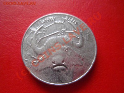 Алжир 1 динар 1992  до 18.08 в 21.00М - P8153580.JPG