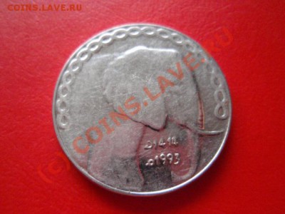 Алжир 5 динаров 1992  до 18.08 в 21.00М - P8153583.JPG